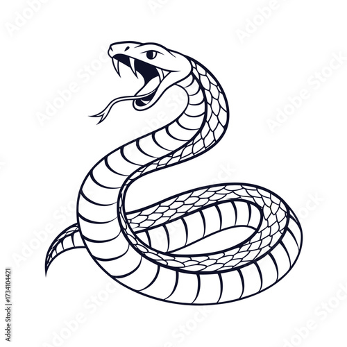 Fierce cobra snake illustration with open mouth and forked tongue