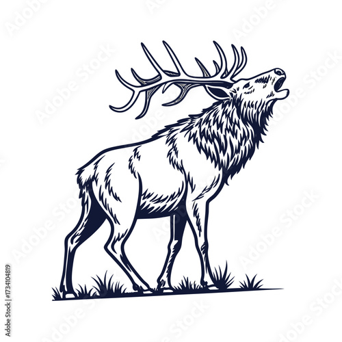 Majestic bull elk with large antlers calling out in a grassy field illustration