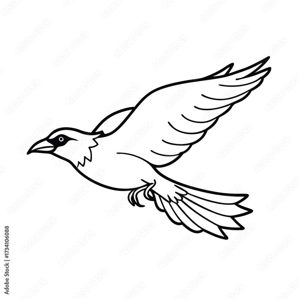 Fototapeta premium Simple black and white line drawing of a bird in flight with wings spread wide