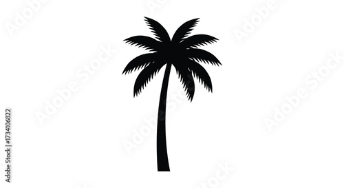 A solitary palm tree stands against a white background silhouette