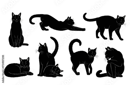 Collection of black cat silhouettes in various poses. Illustration vector.