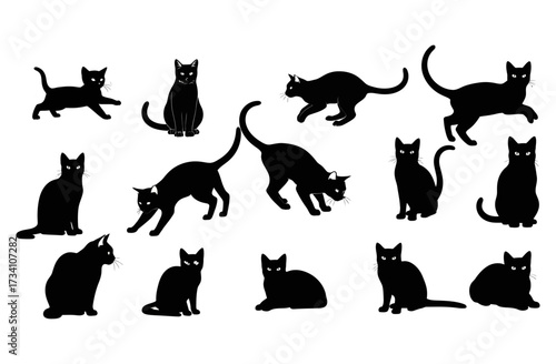 Collection of black cat silhouettes in various poses. Illustration vector.