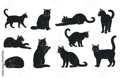 Collection of black cat silhouettes in various poses. Illustration vector.