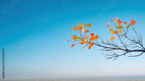 Autumn leaves on bare branch against clear blue sky  