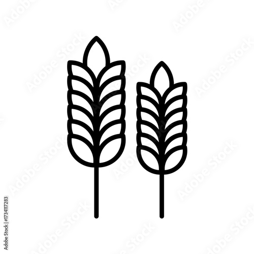 Two wheat ears grain - line vector icon