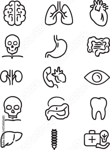 Human Anatomy editable line art style icons sets