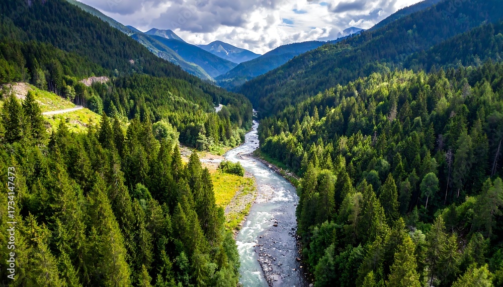 Fototapeta premium Mountain valley with a river winding through lush green forests