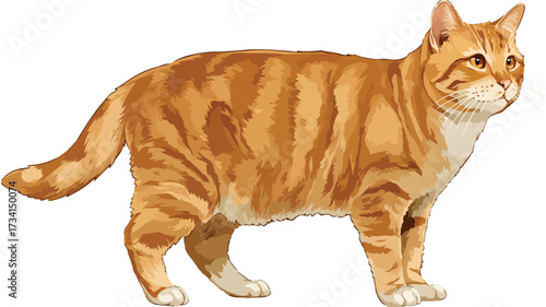 Adorable Ginger Cat Playing Vector Illustration