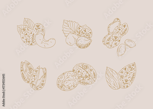 Nuts set almond, cashew, hazelnut, peanut, pistachio, walnut drawing in graphic floral style on beige background