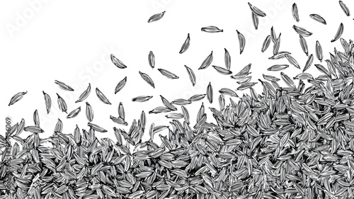 Cumin Seeds Backdrop Surface Decoration Vector