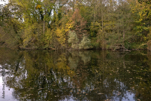 La Fosse aux Carpes, Réserve naturelle, Draveil, 91, Essonne, France