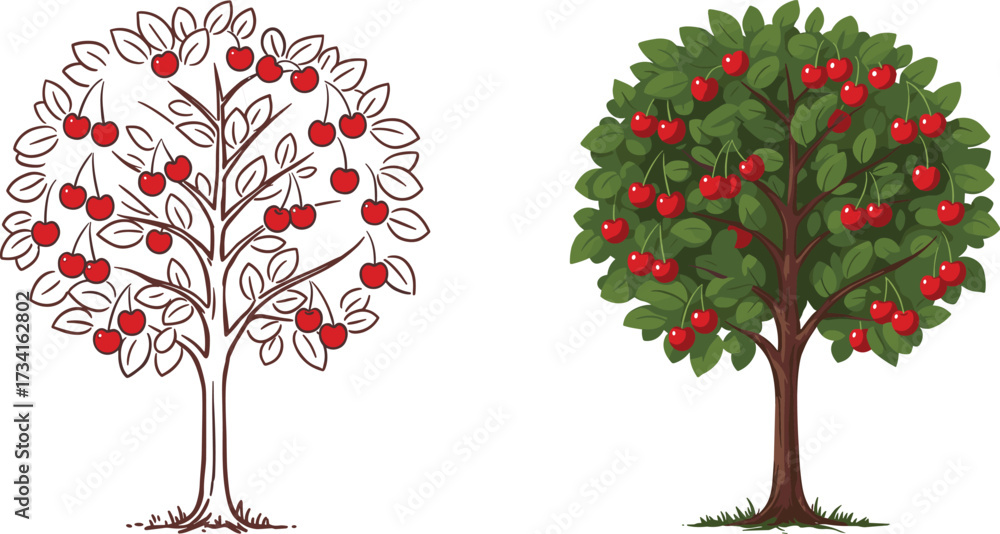 Fototapeta premium Cherry tree illustration, fruit tree drawing, garden plant art, red berries design, botanical foliage, orchard tree sketch, cad drawing flat vector illustration