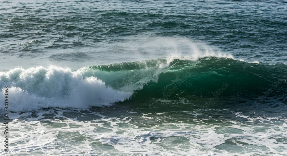 Fototapeta premium Dynamic Ocean Wave Crashing Against the Shore Under Bright Sunlight at a Coastal Beach