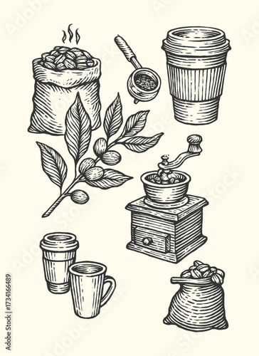 Rustic vintage illustration of coffee beans, grinder, cups, and takeout drink, traditional hand-drawn style.
