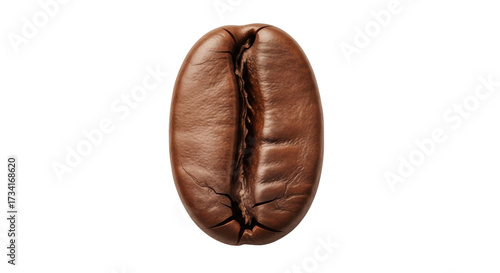 фотографія Isolated roasted coffee bean still life close-up shot, single brown seed on clea