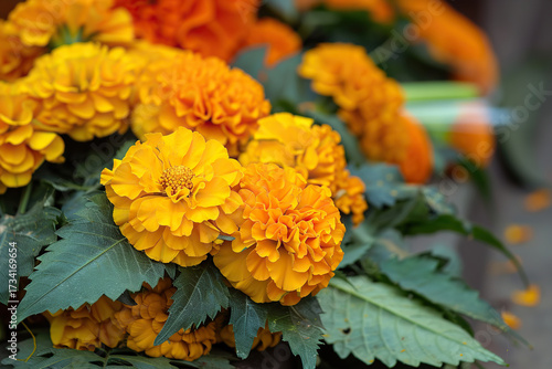 Abstract vivid greeting card with holiday composition for happy celebrate Onam on colored background