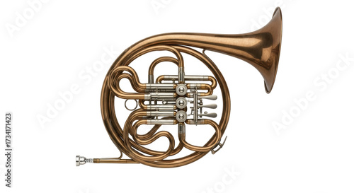 Tableau sur toile Isolated French horn brass instrument, musical instrument for orchestra and clas