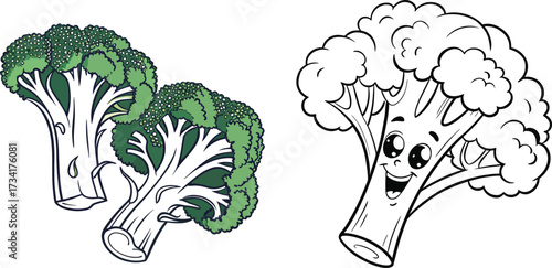 Green Organic Broccoli Sketches in Different Styles