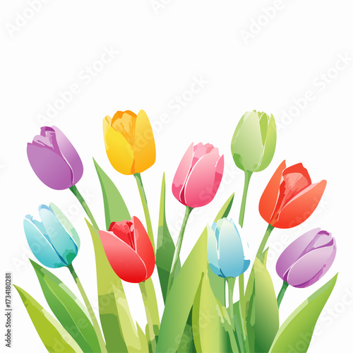 A watercolor illustration of spring tulips with long green stems and colorful blossoms isolated on a clean white background.