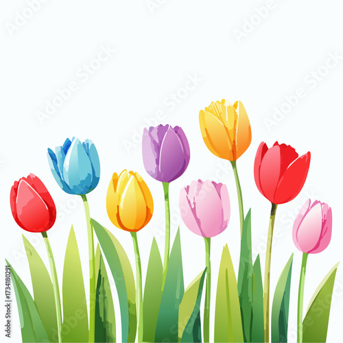 A watercolor illustration of spring tulips with long green stems and colorful blossoms isolated on a clean white background.