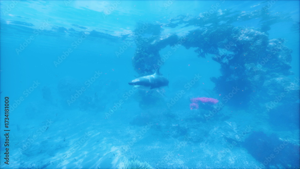 Obraz premium A great white shark glides gracefully near a colorful coral reef, showcasing its sleek form against the vibrant underwater scenery in a tropical location.