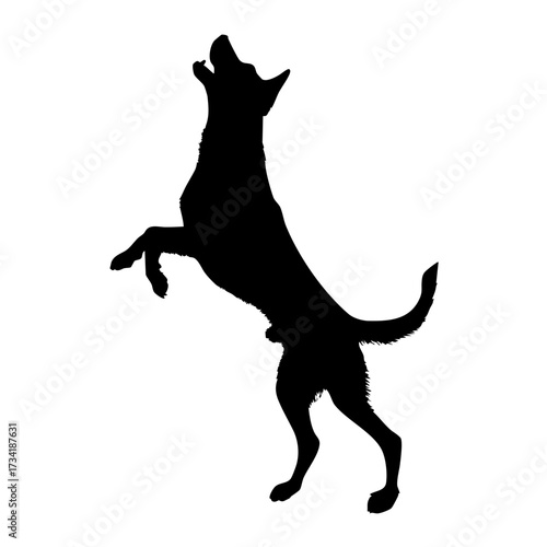 Silhouette of a jumping dog standing on hind legs isolated on white background