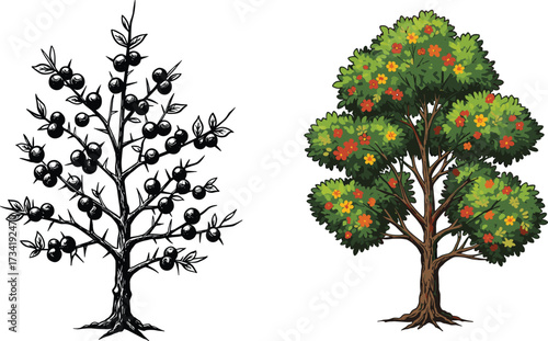 Fruit tree silhouette, floral tree colorful, garden plant, botanical design, nature illustration, seasonal growth, agriculture concept, cad drawing flat vector illustration