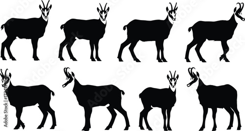 Goat silhouette collection, black animal shapes, livestock poses, farm creature profiles, horned mammals, side view goats, vector illustration set