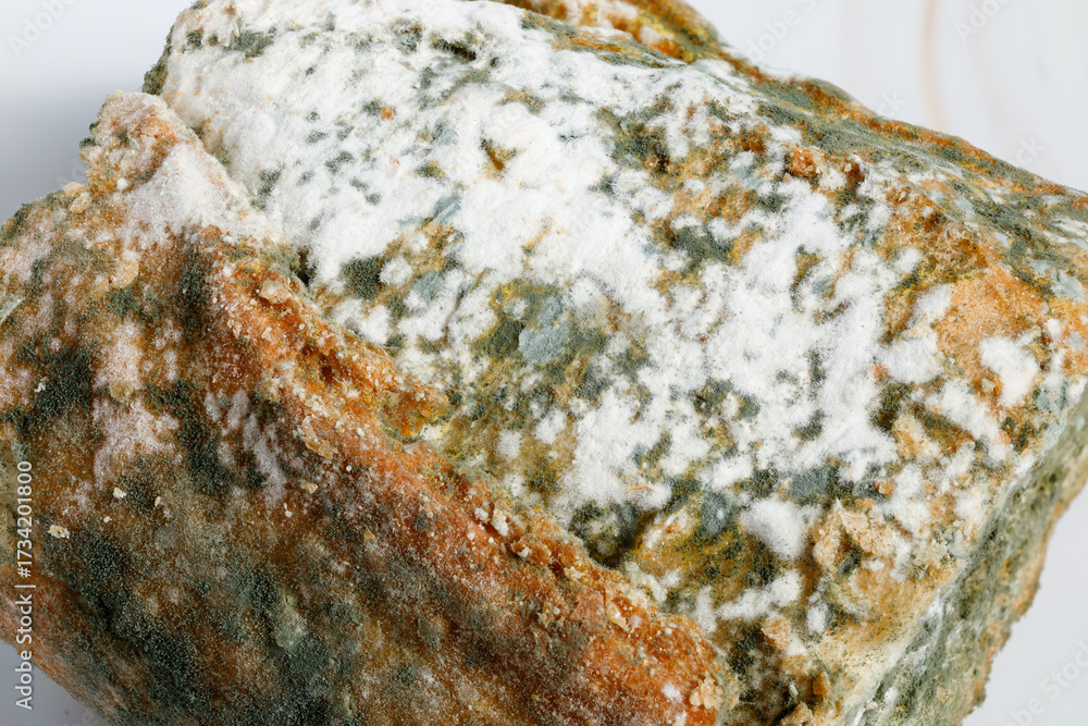 Fototapeta premium Close-up of Moldy bread on cutting board