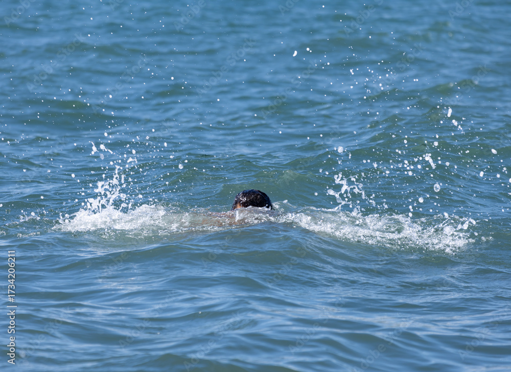 Fototapeta premium A man is swimming in the ocean