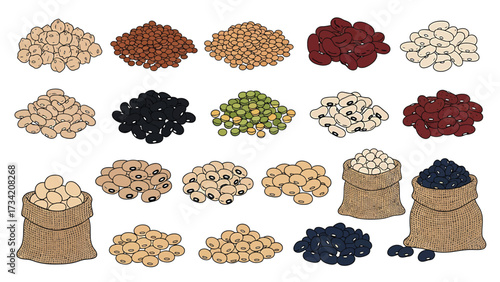 An illustrated collection of various beans and legumes, such as chickpeas, lentils, and soybeans, in piles and sacks.