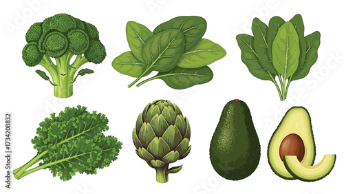 A collection of healthy green vegetables and fruits including broccoli, spinach, kale, artichoke, and avocado, illustrated on a white background.