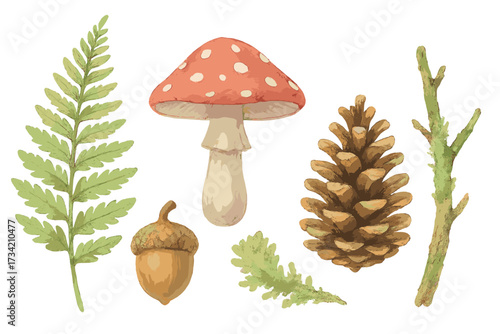 Hand drawn style collection of natural forest elements including mushroom, fern leaf, pine cone, and acorn