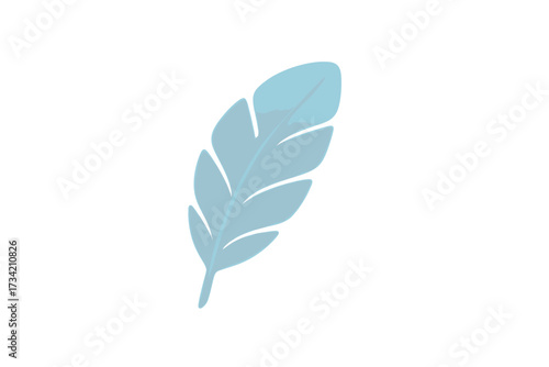 Delicate light blue feather with elegant smooth texture and gentle curves floating on a clean white background