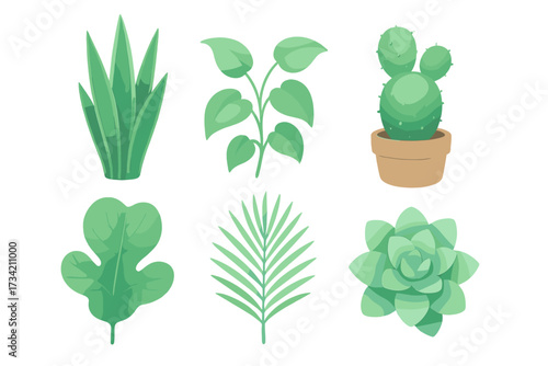 Assortment of vibrant green house plants, succulent, cactus, and tropical foliage elements for botanical design