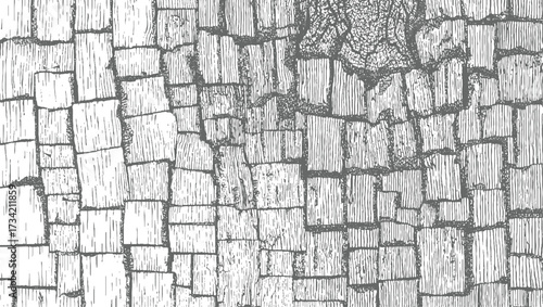 detailed monochrome illustration of a rough wood grain texture with irregular rectangular shapes.