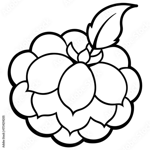 vector illustration of a flower