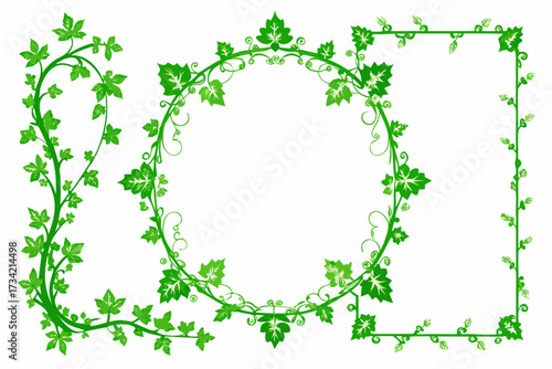 frame with green leaves and flowers