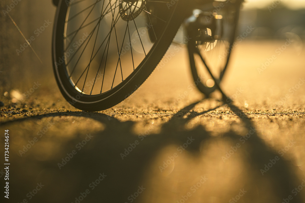Naklejka premium Bicycle wheel shadow on golden pavement.