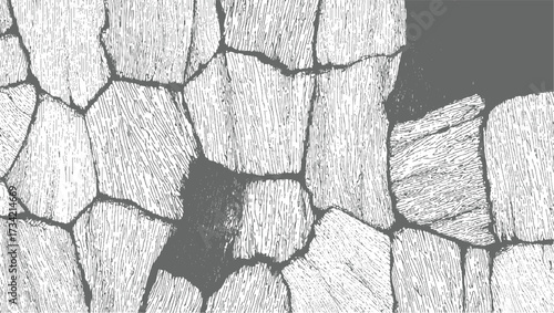 Abstract grey and white cracked stone texture with irregular polygonal shapes and linear detailing.