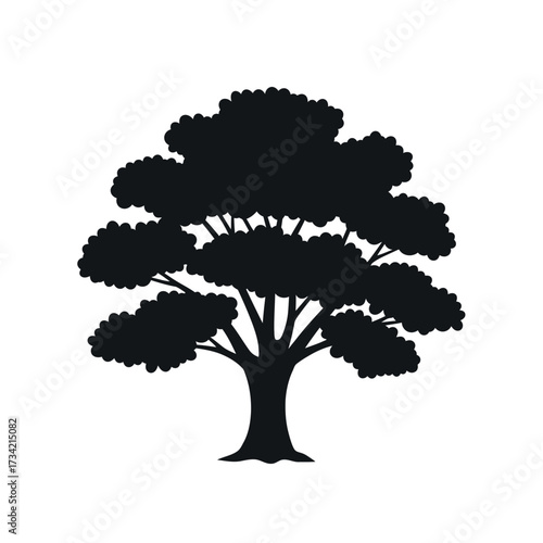 Silhouette of a large deciduous tree with a broad canopy.