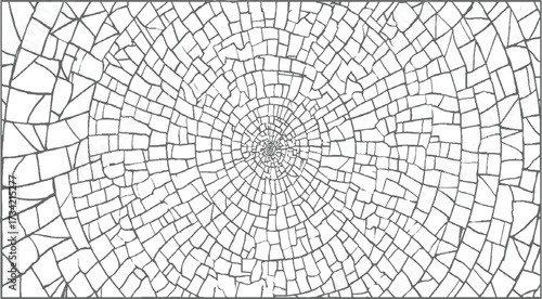 monochromatic radial pattern of irregular shapes and lines on a white background.