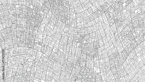 An abstract monochrome pattern of intricate grey lines forming a dense organic grid on a white background.