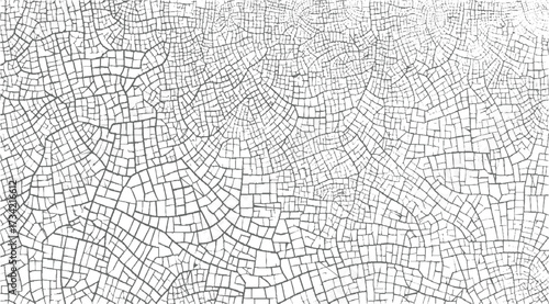 detailed pattern of grey cracked lines on a white background creating a textured surface.