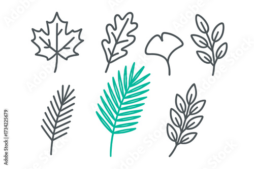 Botanical collection of diverse stylized leaf outlines featuring various tree and plant species in a clean graphic style with one teal accent