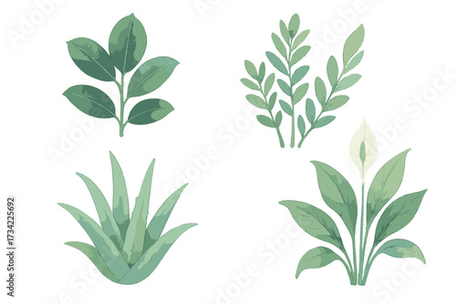 Diverse collection of green plant leaves, including peace lily and aloe vera, for botanical design