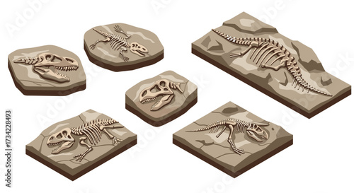 Dinosaur fossil icons: ancient bones set in cartoon style for educational and creative use