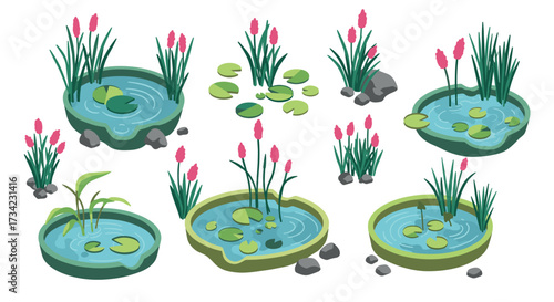 Stylized garden ponds with water lilies and reeds