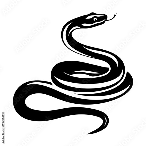 Dynamic duo of serpents two distinct snake silhouettes ready to strike and charm