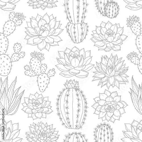 Hand Drawn Cacti and Succulents Seamless Vector Pattern Illustration. EPS Editable
